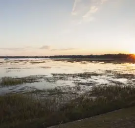 Photo of a marsh at sunset