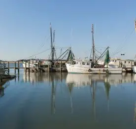 Photo of docked boats